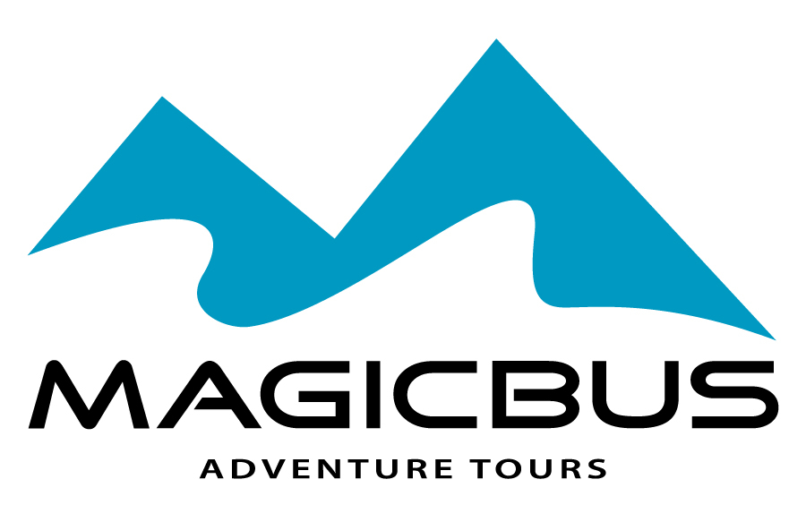 Magic Bus